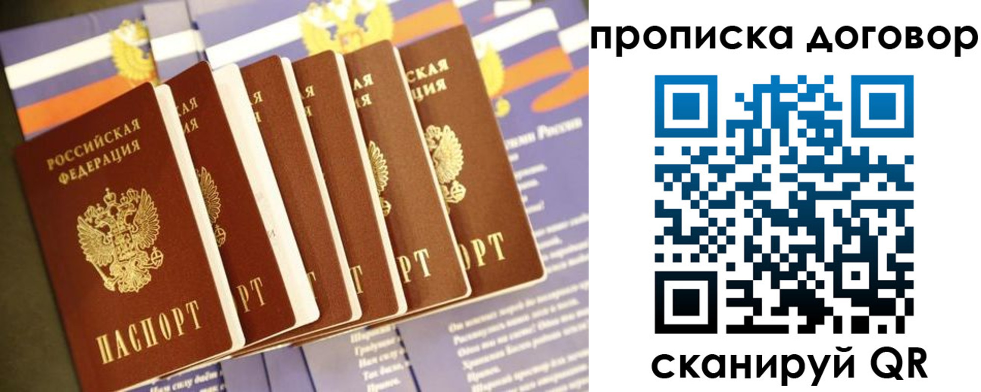 прописка для школы в Красногорске